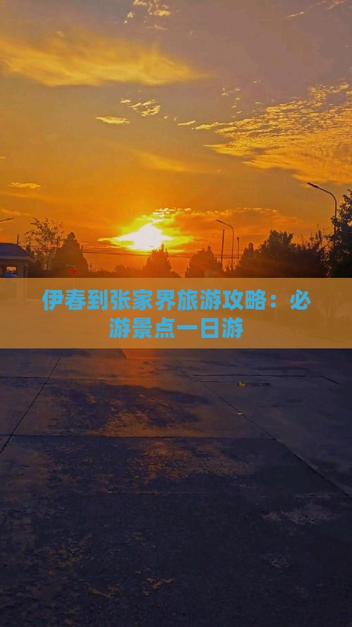 伊春到张家界大峡谷一日