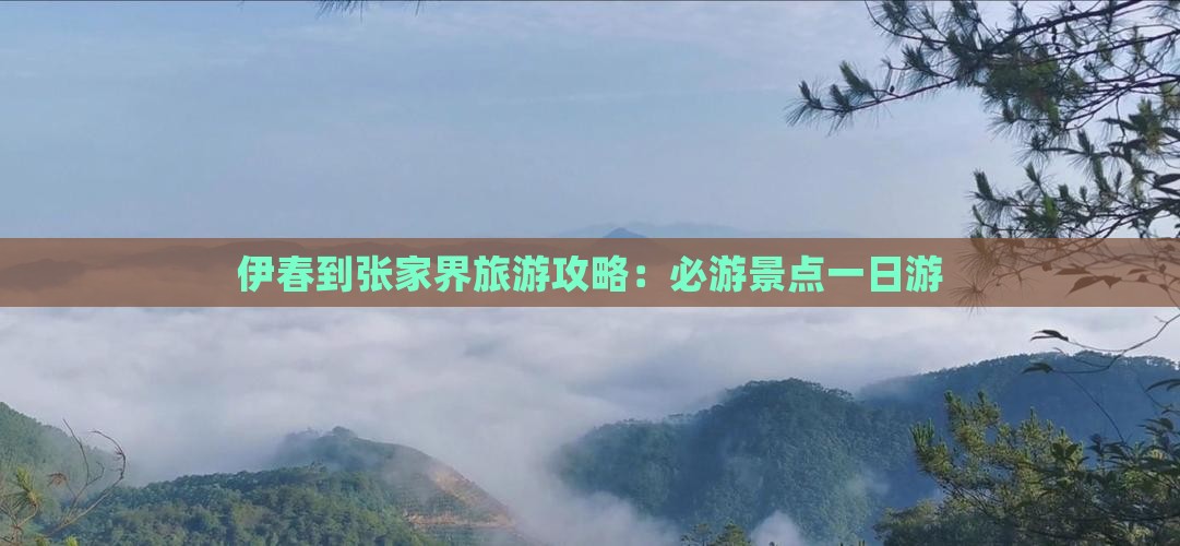 伊春到张家界大峡谷一日