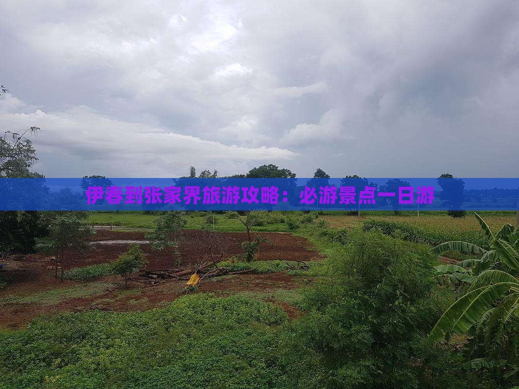 伊春到张家界大峡谷一日