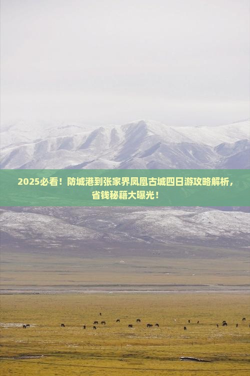 防城港到张家界凤凰古城四日游