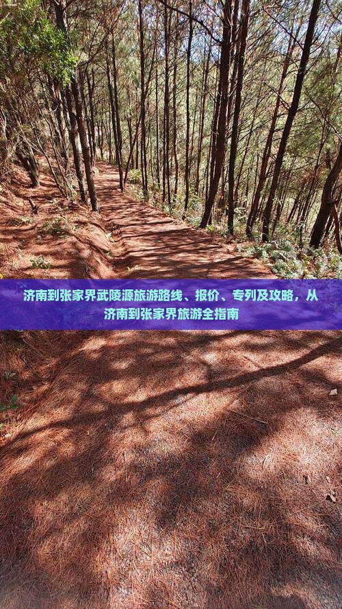 济南到张家界武陵源旅游