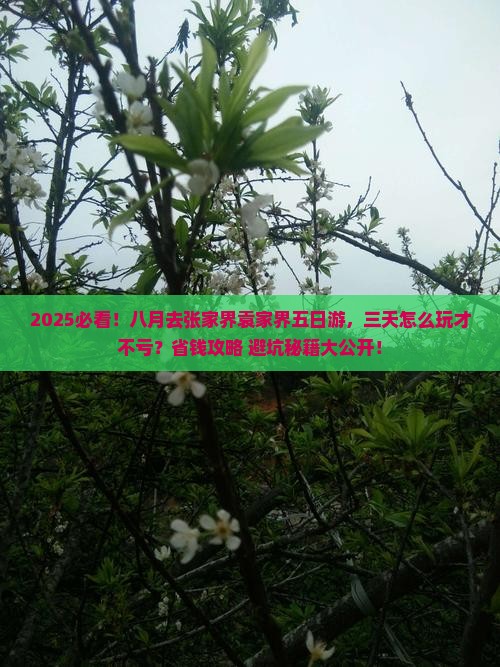 八月去张家界袁家界五日游
