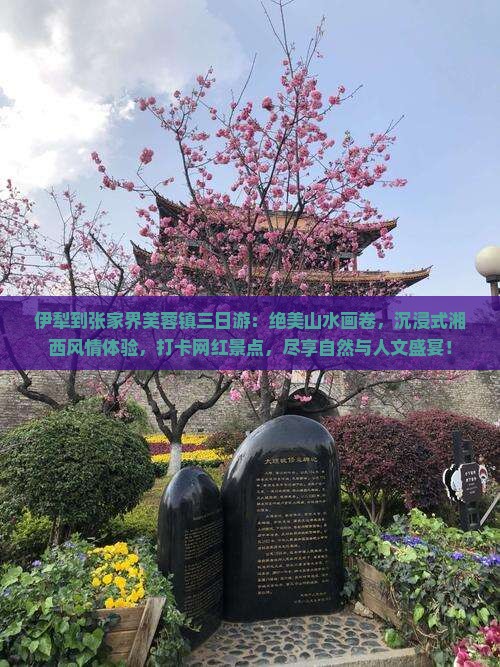伊犁到张家界芙蓉镇三日游