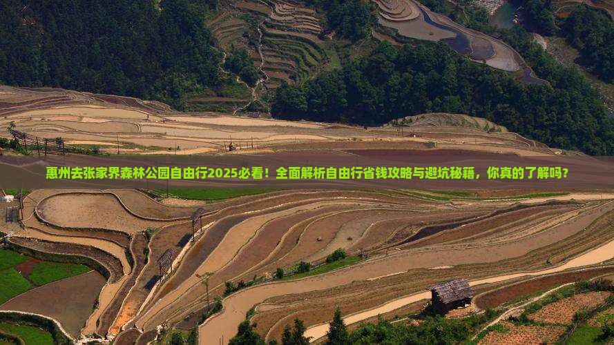 惠州去张家界森林公园自由行
