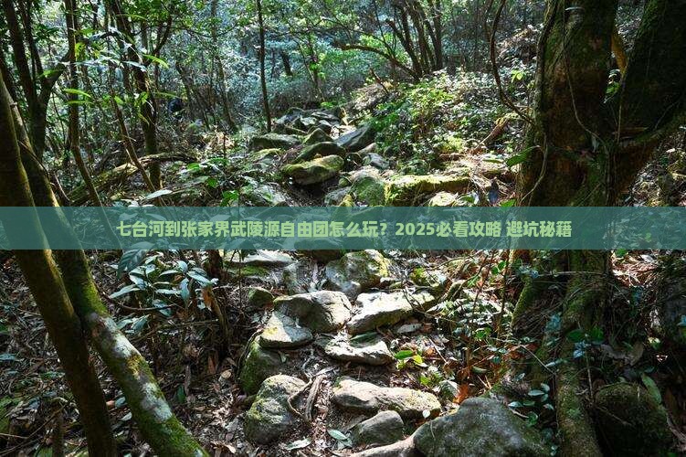 七台河到张家界武陵源自由团