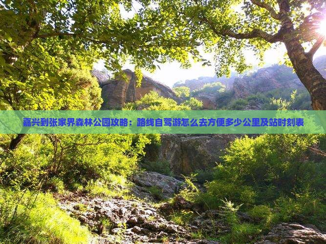 嘉兴到张家界森林公园攻略