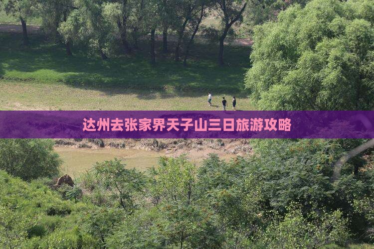 达州去张家界天子山三日游