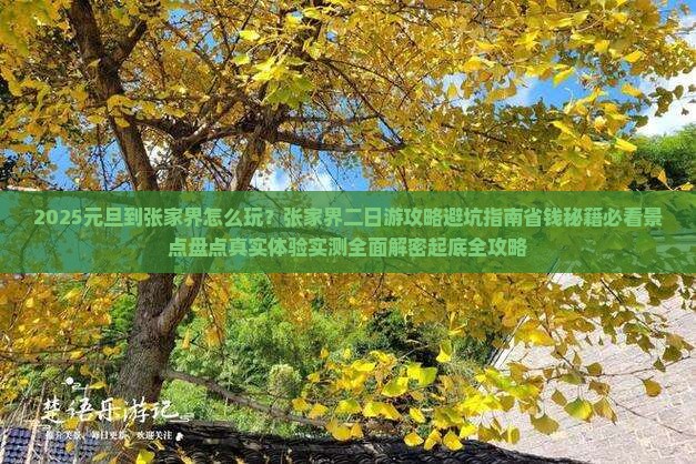 元旦到张家界二日游 元旦到张家界二日游