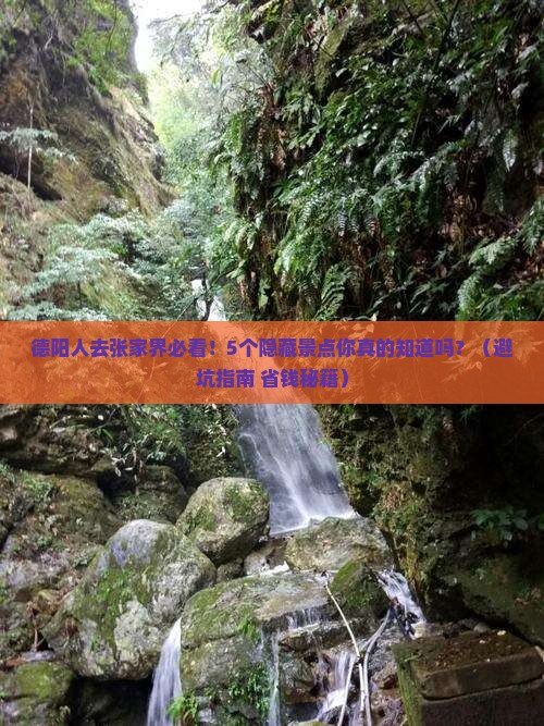德阳去张家界旅行社