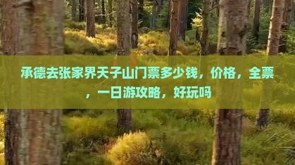 承德去张家界天子山门票
