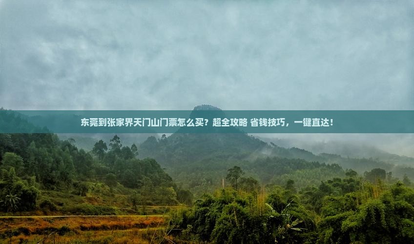 东莞到张家界天门山门票