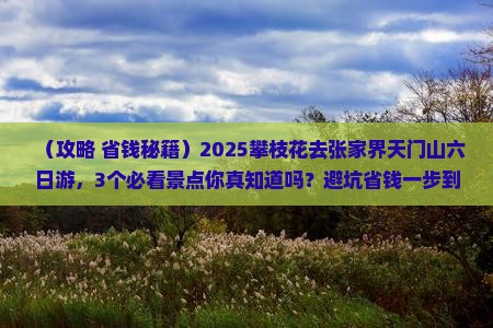 攀枝花去张家界天门山六日游