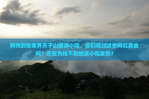 荆州到张家界天子山旅游小吃