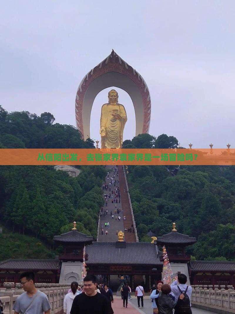信阳到张家界袁家界攻略
