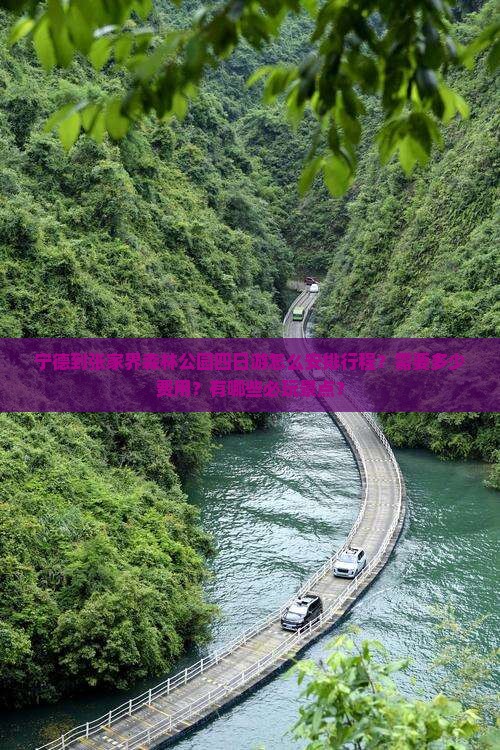 宁德到张家界森林公园四日游