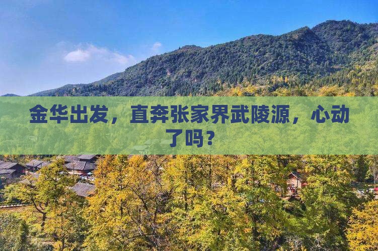金华到张家界武陵源旅行社