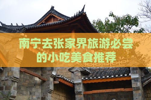 南宁去张家界旅游小吃