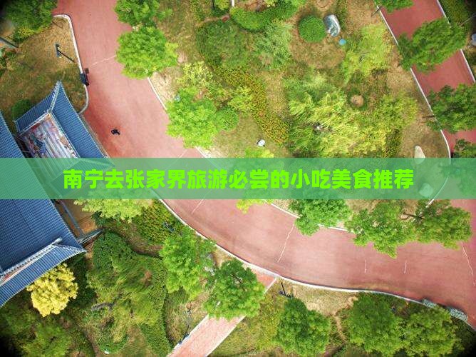 南宁去张家界旅游小吃