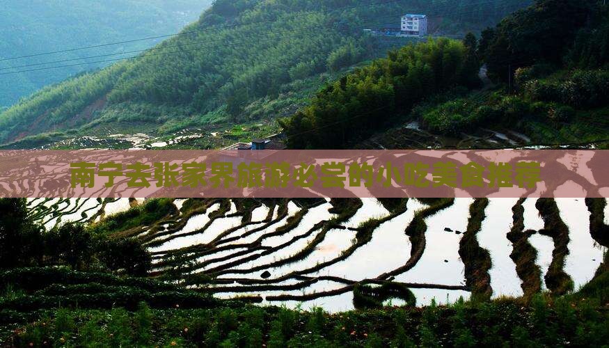 南宁去张家界旅游小吃