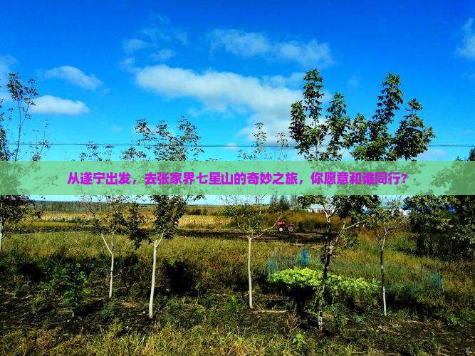 遂宁到张家界七星山团体旅游