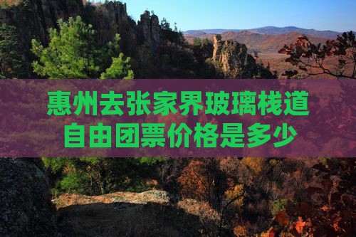 惠州去张家界玻璃栈道自由团