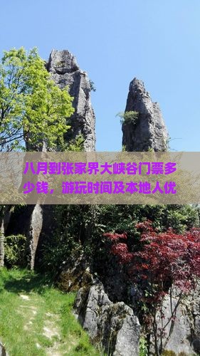 八月到张家界大峡谷门票