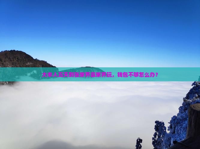 大丰到张家界袁家界五日游