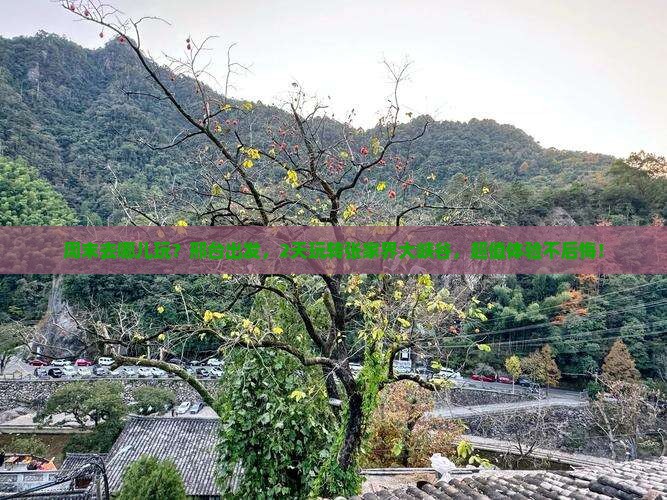 邢台去张家界大峡谷二日游