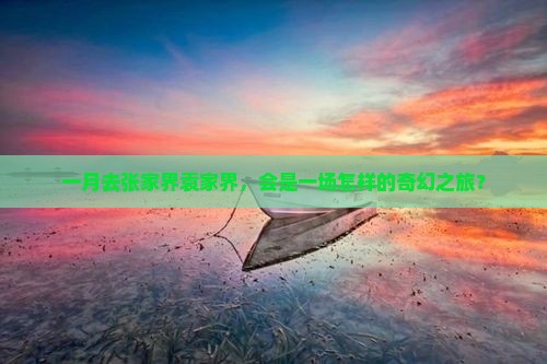 一月去张家界袁家界旅行社