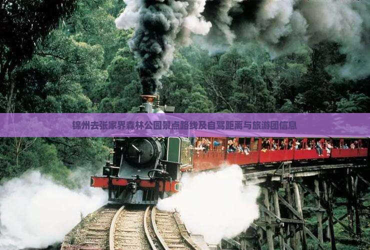 锦州去张家界森林公园景点
