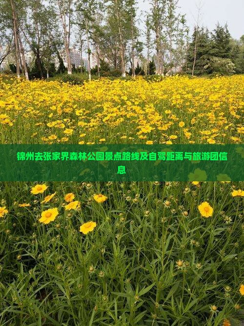 锦州去张家界森林公园景点