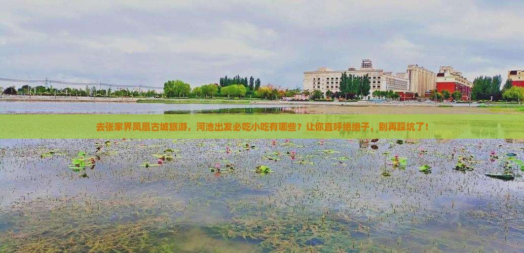 河池去张家界凤凰古城旅游小吃