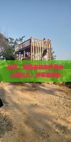 来宾去张家界森林公园团体旅游