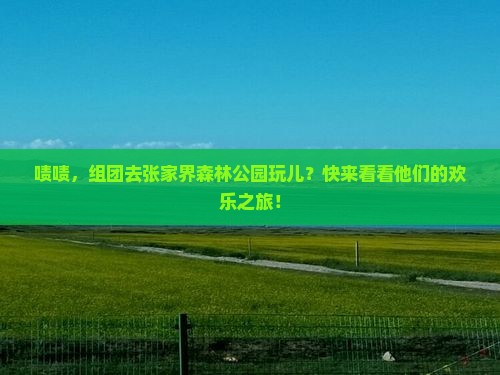 来宾去张家界森林公园团体旅游