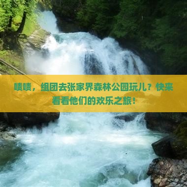 来宾去张家界森林公园团体旅游