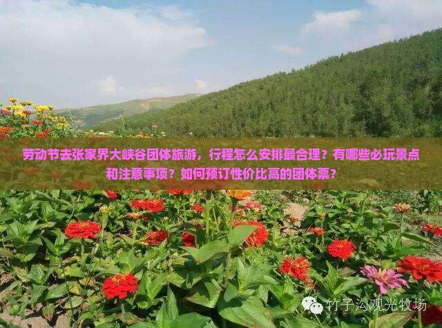 劳动节去张家界大峡谷团体旅游