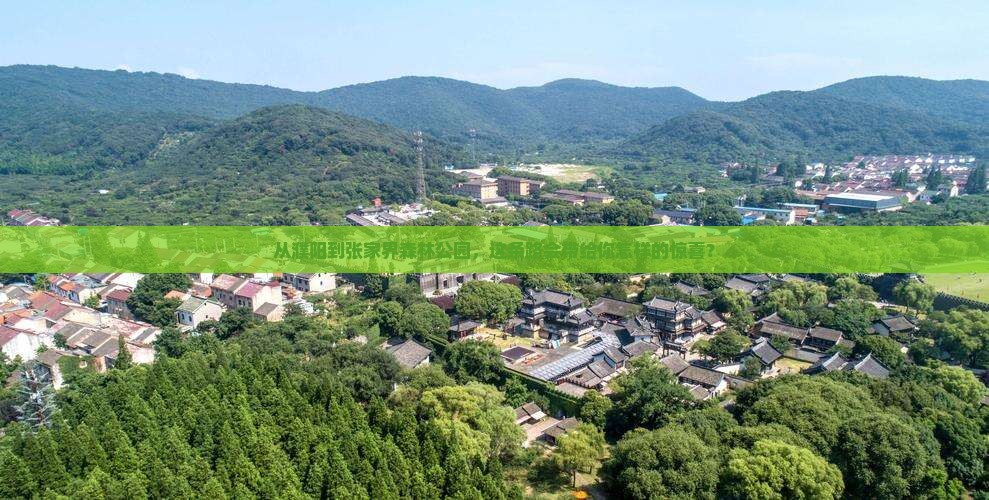 濮阳到张家界森林公园自由行