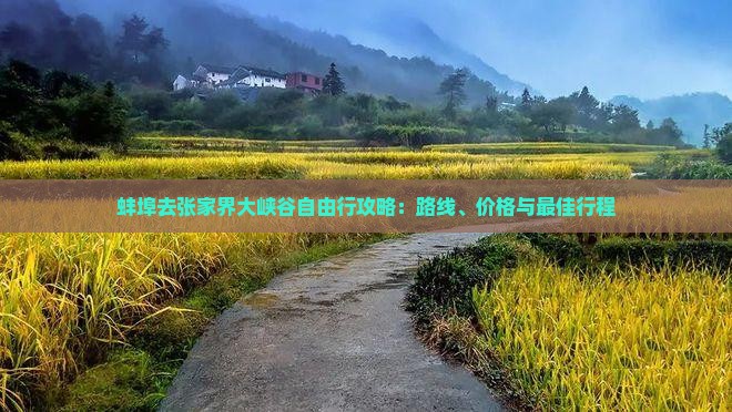 蚌埠去张家界大峡谷自由行