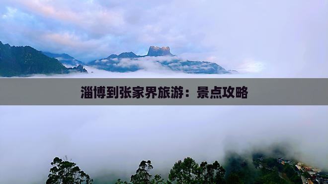 淄博到张家界旅游