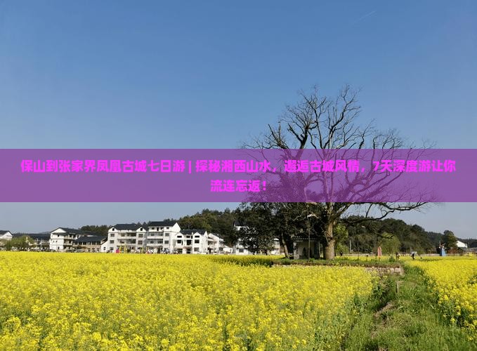 保山到张家界凤凰古城七日游