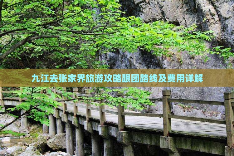 九江去张家界旅游