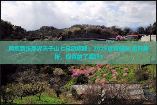 阿坝到张家界天子山七日游