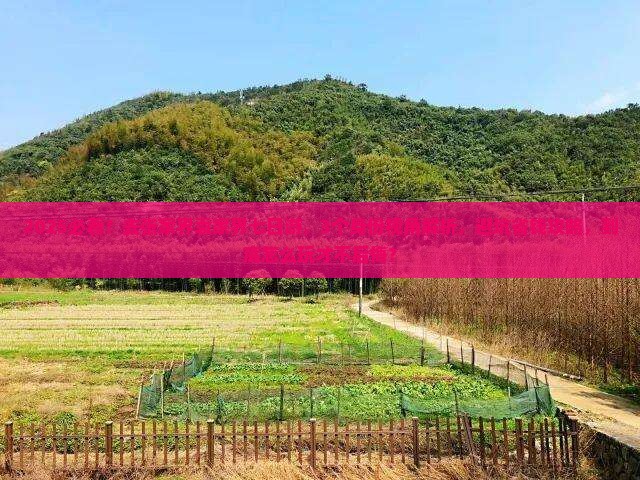 十月去张家界袁家界七日游