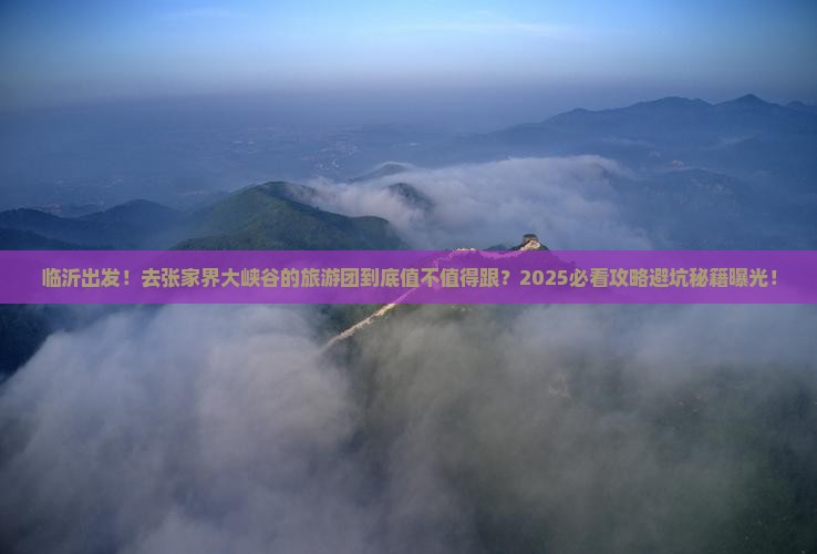 临沂到张家界大峡谷大型旅游团