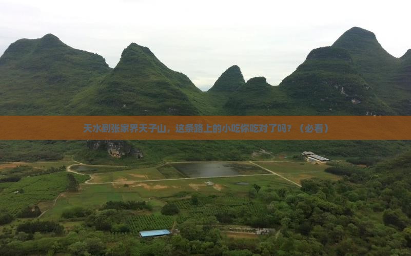 天水到张家界天子山旅游小吃