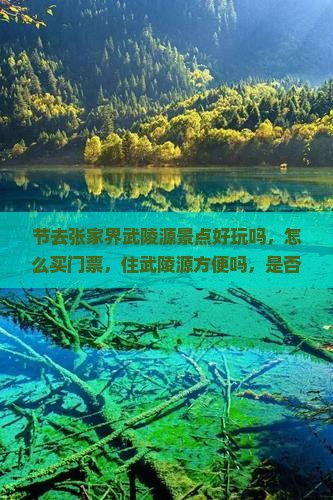 中秋节去张家界武陵源景点