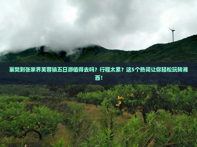 襄樊到张家界芙蓉镇五日游