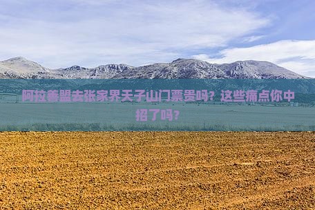 阿拉善盟去张家界天子山门票