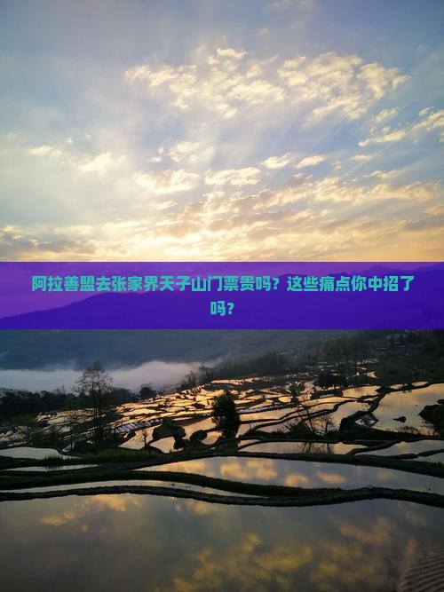 阿拉善盟去张家界天子山门票