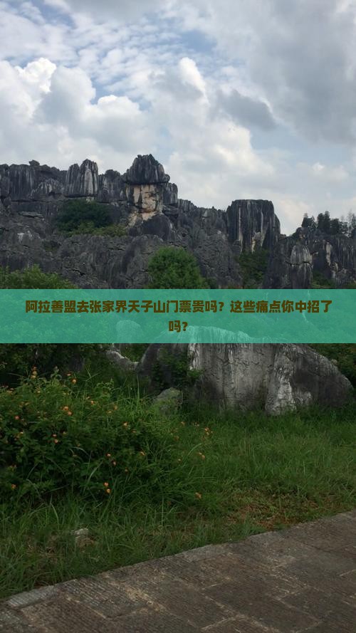 阿拉善盟去张家界天子山门票